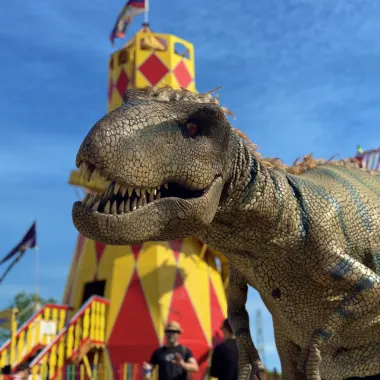 Ultimate Dinosaurs Birthday Package