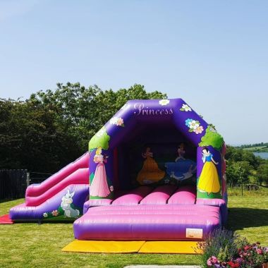 Disney Princess Pink Combo Slide Indoor Price