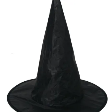 Black Witch/wizard Hat