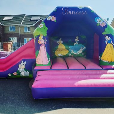 Disney Princess Pink Combo Slide