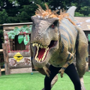 Dinosaur Birthday Pack 2