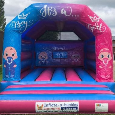 Gender Reveal Castle