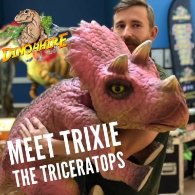 Trixie The Triceratops