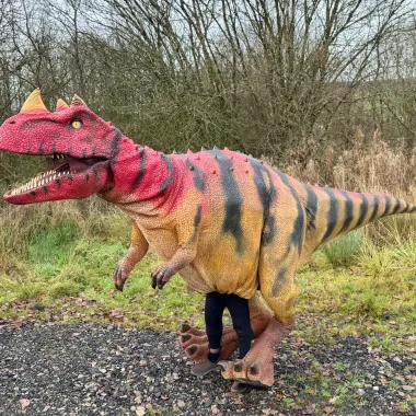 Ceratosaurus Dinosaur Appearance