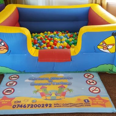 Angry Birds Ball Pool