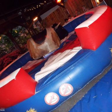 Rodeo Bull