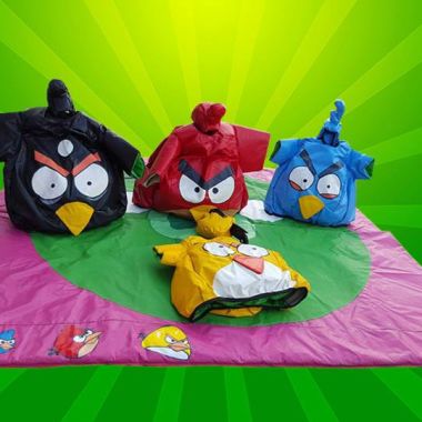 Ultimate Angry Birds Party Package