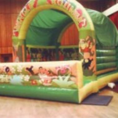 17ft X 20ft Adult Jungle Castle