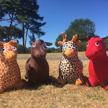 Childrens Animal Hoppers X 4