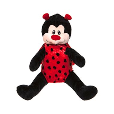 Ladybird