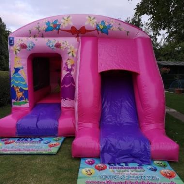 Princess Woodland Theme