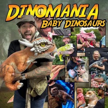 Baby Dinosaur Workshop