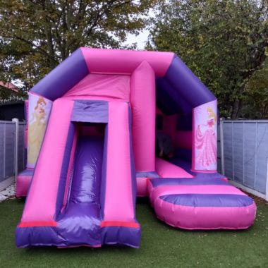 Princess Pink And Purple Front Slide