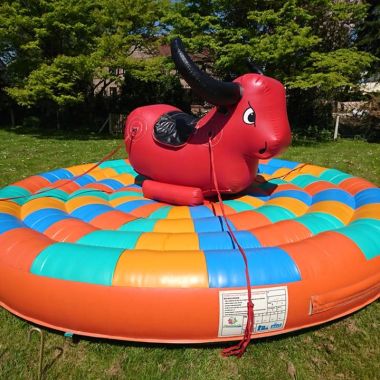 Rodeo Bull