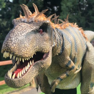 T-rex Dinosaur Appearance