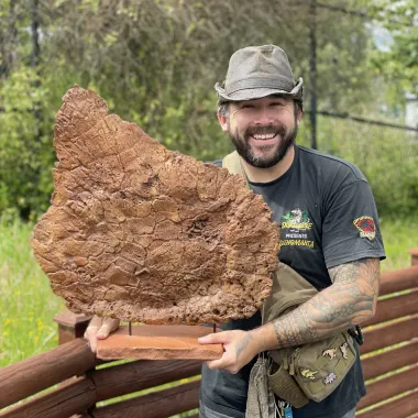 Dinomania Dinosaur Trail Package