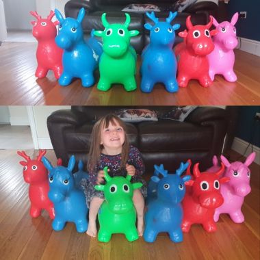 Inflatable Animal Hoppers X 6