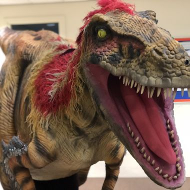 Utah Raptor Appearance