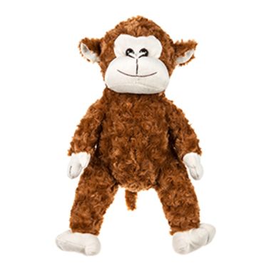 Cheeky Monkey