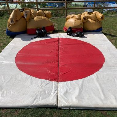 Complete Sumo Set