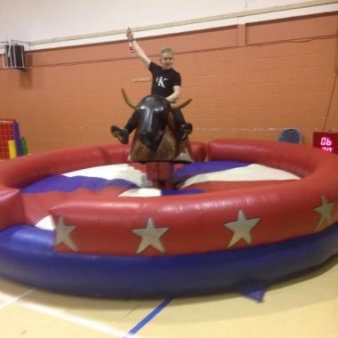 Rodeo Bull