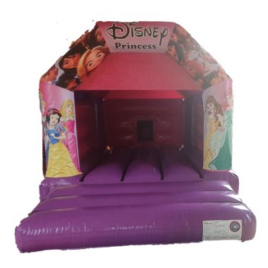 Disney Princess Bouncy Castle Hire