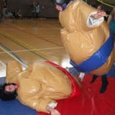 Adult And Children Sumo Suits