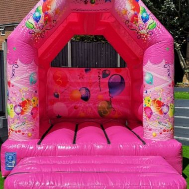 Pink Party 10x8