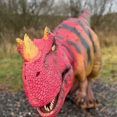 Ceratosaurus Dinosaur Appearance