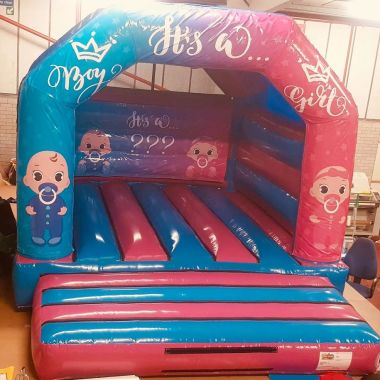Gender Reveal Castle
