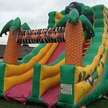Safari Slide