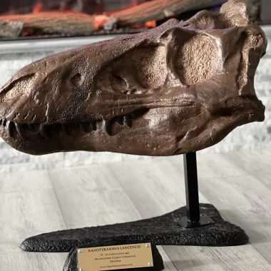 Dinomania Dinosaur Trail Package