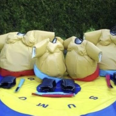 Adult Sumo Suits
