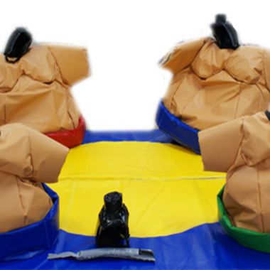 Family Sumo Suits
