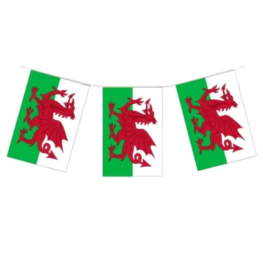 Welsh Flag Bunting 10m (20 Flags)