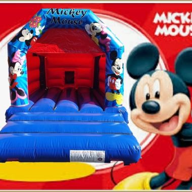 Blue Mickey Castle