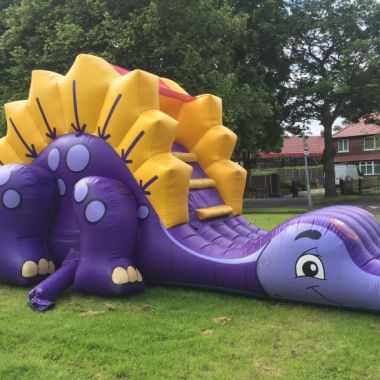 Dinosaur Assault Course And Slide