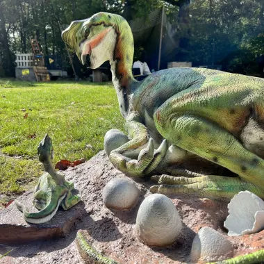 Dinomania Dinosaur Trail Package