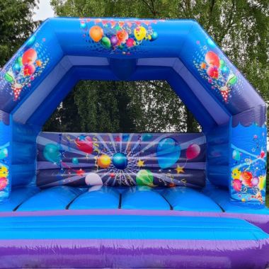 Adult Party Castle 1