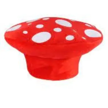 Mushroom Hat