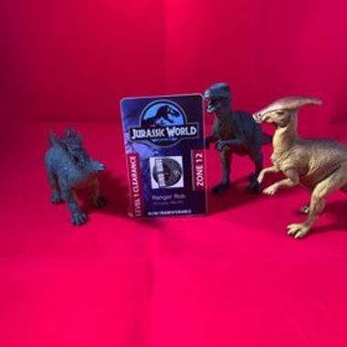 Dino Hire Id Card