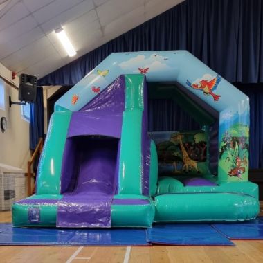 Jungle Theme Front Slide Combo 12ft X 15ft