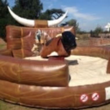 Rodeo Bull - 2 Hours
