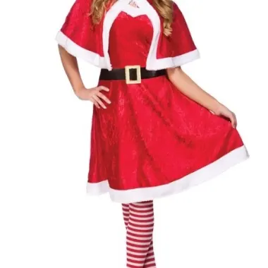 Miss Santa Outfit