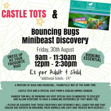 Bouncing Bugs Minibeast Discovery