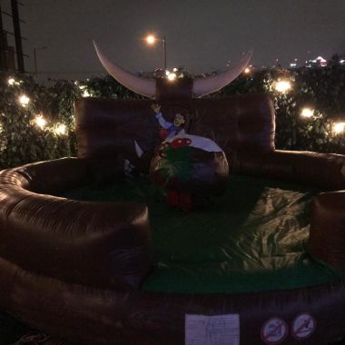 Rodeo Christmas Pudding