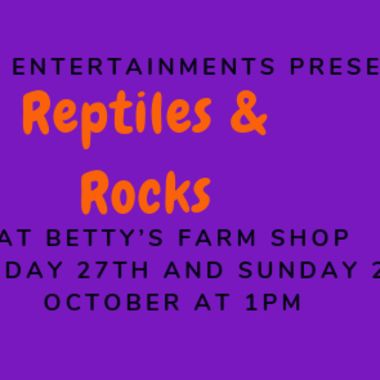 Reptiles & Rocks