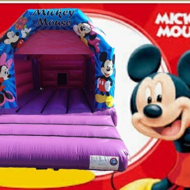 Pink Mickey Mouse Castle
