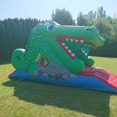 Crocodile Slide