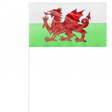 Handheld Welsh Flag On Stick Pack Of 48